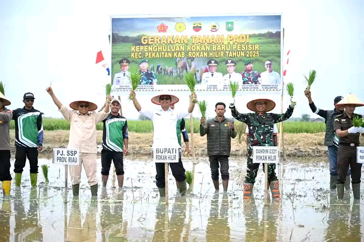 Tinjau Pabrik Kilang Padi di Rokan Baru, Wabup Rohil Dorong Revitalisasi dan Penguatan Sektor Pertanian