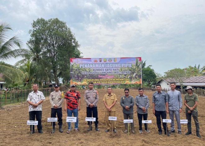 Dasver Librian (Bg Vea) Anggota DPRD Kabupaten Kuantan Singing Ikut Serta Menanam Jagung Pipil di Desa Pulau Lancang