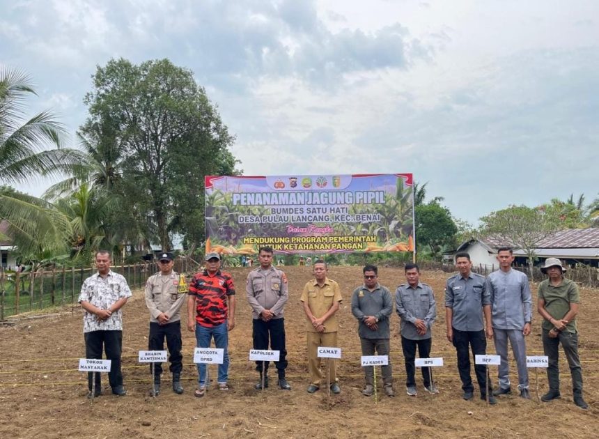 Dasver Librian (Bg Vea) Anggota DPRD Kabupaten Kuantan Singing Ikut Serta Menanam Jagung Pipil di Desa Pulau Lancang